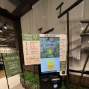소다NC강서점 | [서울/발산역] NC백화점 맛집 <로운 샤브샤브 강서점> 재방문까지+주말 내돈내산 후기
