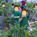 큰나무어린이집 이미지