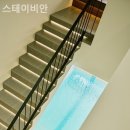 스테이비안 이미지