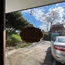 안녕, 댕댕이 이미지