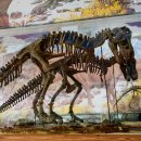 경산공룡박물관 이미지