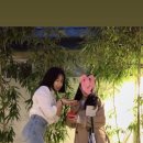 풍차커피