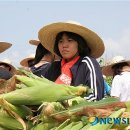 대마리마을회관 이미지