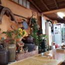 가래징개 이미지