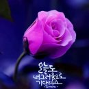오늘도 티스토리