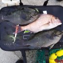 온평리-7 이미지