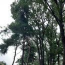 당두공원 이미지