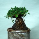 김종찬농장 이미지