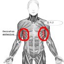 가디언 오브 갤럭시 PT 이미지