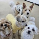 태담이네 하우스 이미지