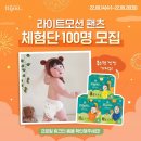데이데이 세계비즈