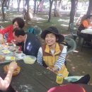 해법 행정사사무소 이미지