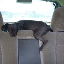 까까가개 이미지