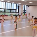 프리미엄 태권마루 태권도장 이미지