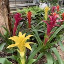 나의 작은 정원-홈 가드닝 이미지