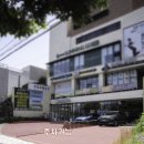 호호동물병원 네이버블로그