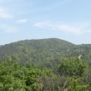 금오주유소 이미지