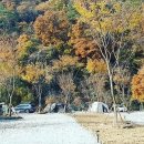 아우어캄푸스 이미지