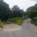 대전리마을회관 이미지