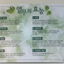 법원 열무 네이버블로그