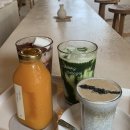 애월공하우스민박 | 🌿 제주도 느좋 카페 &amp; 풍경 여행 후기 [내돈내산]