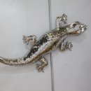 제주시민회관 이미지