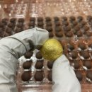 우리보강약국 이미지