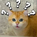 [5월원데이특강] 내가 만드는 막걸리 | 광주 원데이클래스 <단양주 만들기> 전통주 추천, 설날 부부 후기~!