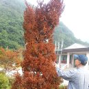 중앙하수처리장 이미지