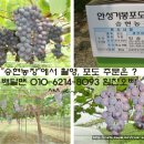 승현1농장 이미지