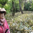 판상농장 이미지