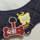 귀여운강아지 | 강아지이름표 추천 니어블리 3D 네임텍 귀여운 강아지인식표 후기