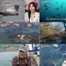 점박이 농장 이미지