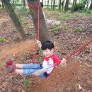 호수공원9 나들숲 이미지