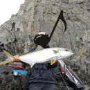 조가물민박 이미지