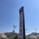 청초수물회.섭국 | 의왕 백운호수 맛집 🌊 청초수물회 섭국 시원하게 먹고 온 후기