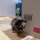 개금3동-2 이미지