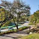 김창식효자문 이미지