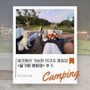 꽃보다 멍 | 제주도글램핑 추천 | 애견동반 가능한 서귀포캠핑장 즐기멍 캠핑장 후기