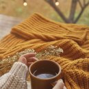 CAFE스피커