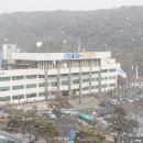 파발로 경인종합일보