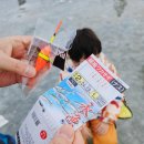 신원낚시터 | 양평 산수유마을 빙어축제 향리낚시터 입장료 및 솔직 후기