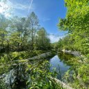 메드웨이 이미지