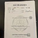 ChatGPT 활용하기 | 자궁경부암 치료 기록 6탄 / LEEP 수술 후 조직검사 결과지 해석 방법