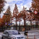 용호초등학교사거리 이미지