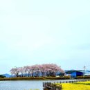 텅빈충만 이미지