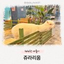 비오벨 | 하남 가볼만한곳 아이와 즐기는 '쥬라리움 하남점' 리뷰