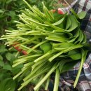 명이농장 이미지