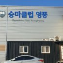 승마클럽 영풍 이미지