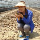 경희농장 이미지